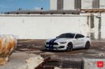 Shelby GT350 on Vossen Wheels (HF-3) 2019 года